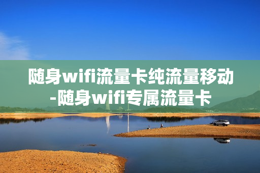 随身wifi流量卡纯流量移动-随身wifi专属流量卡