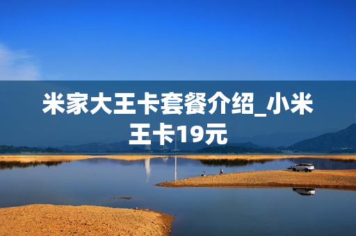 米家大王卡套餐介绍_小米王卡19元