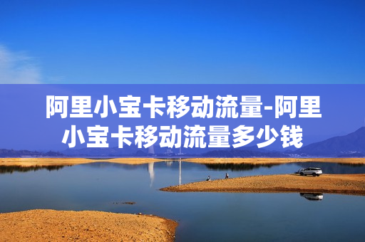 阿里小宝卡移动流量-阿里小宝卡移动流量多少钱