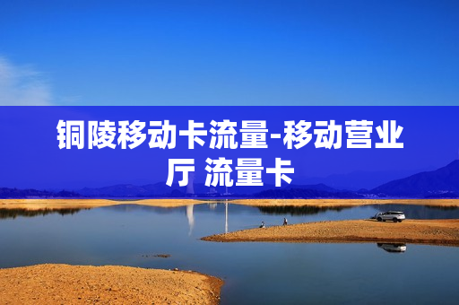 铜陵移动卡流量-移动营业厅 流量卡