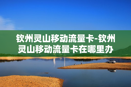 钦州灵山移动流量卡-钦州灵山移动流量卡在哪里办