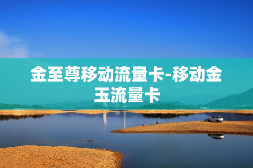 金至尊移动流量卡-移动金玉流量卡
