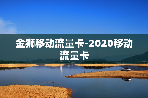 金狮移动流量卡-2020移动流量卡