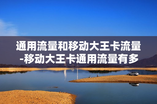 通用流量和移动大王卡流量-移动大王卡通用流量有多少