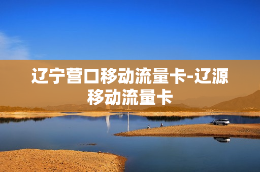 辽宁营口移动流量卡-辽源移动流量卡