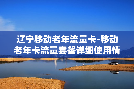 辽宁移动老年流量卡-移动老年卡流量套餐详细使用情况