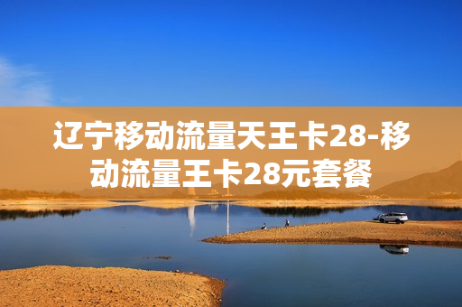 辽宁移动流量天王卡28-移动流量王卡28元套餐
