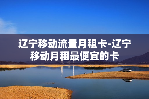 辽宁移动流量月租卡-辽宁移动月租最便宜的卡