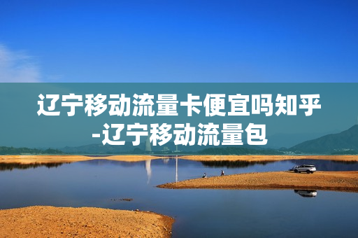 辽宁移动流量卡便宜吗知乎-辽宁移动流量包