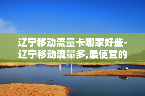 辽宁移动流量卡哪家好些-辽宁移动流量多,最便宜的套餐