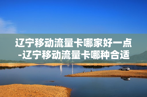 辽宁移动流量卡哪家好一点-辽宁移动流量卡哪种合适