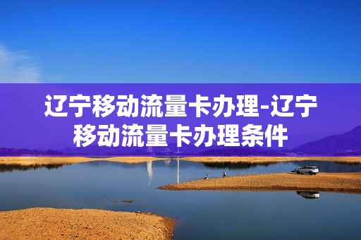 辽宁移动流量卡办理-辽宁移动流量卡办理条件
