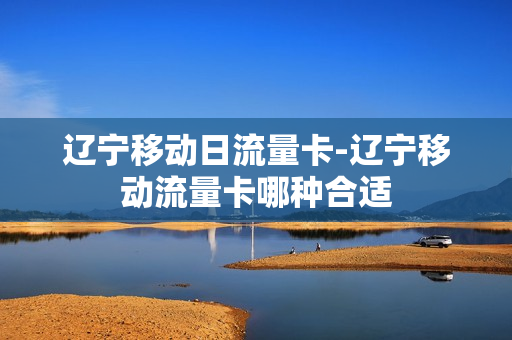 辽宁移动日流量卡-辽宁移动流量卡哪种合适