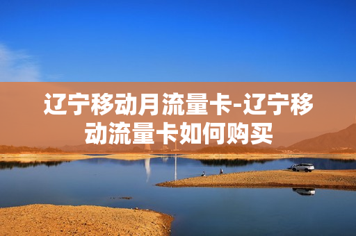 辽宁移动月流量卡-辽宁移动流量卡如何购买