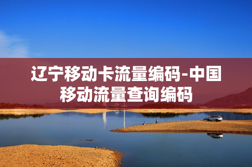 辽宁移动卡流量编码-中国移动流量查询编码
