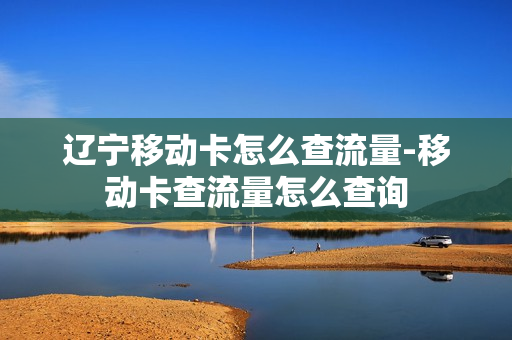 辽宁移动卡怎么查流量-移动卡查流量怎么查询