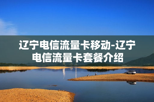 辽宁电信流量卡移动-辽宁电信流量卡套餐介绍
