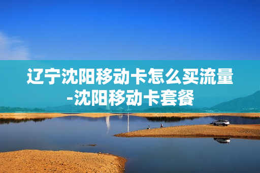 辽宁沈阳移动卡怎么买流量-沈阳移动卡套餐