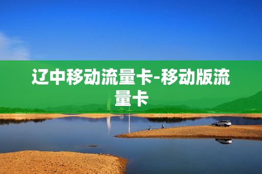 辽中移动流量卡-移动版流量卡