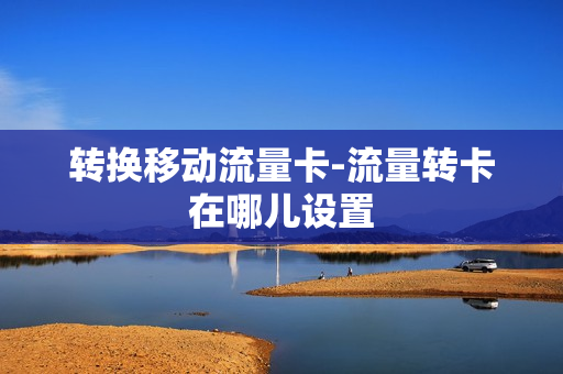 转换移动流量卡-流量转卡在哪儿设置