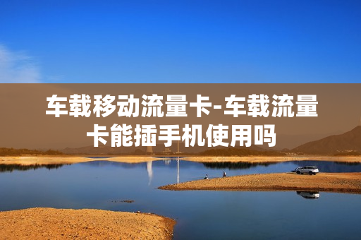 车载移动流量卡-车载流量卡能插手机使用吗
