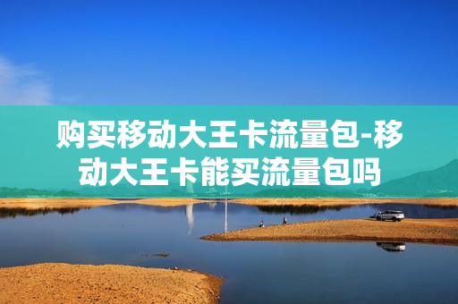 购买移动大王卡流量包-移动大王卡能买流量包吗