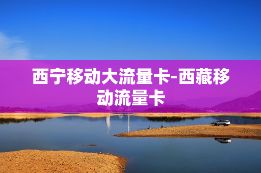 西宁移动大流量卡-西藏移动流量卡