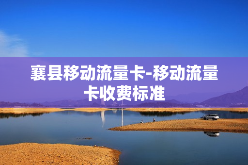 襄县移动流量卡-移动流量卡收费标准