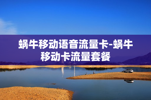 蜗牛移动语音流量卡-蜗牛移动卡流量套餐