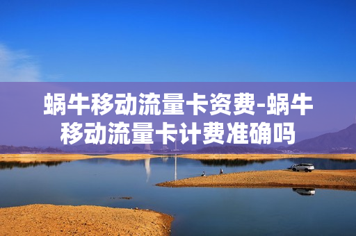 蜗牛移动流量卡资费-蜗牛移动流量卡计费准确吗