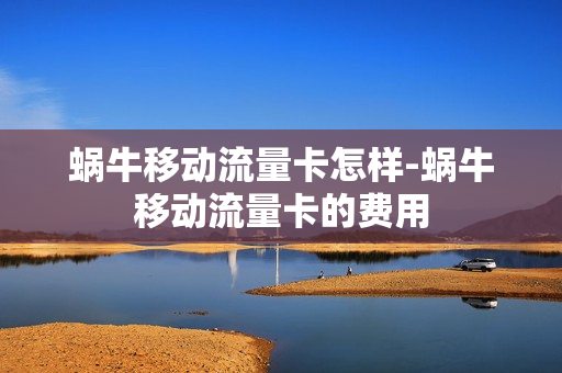 蜗牛移动流量卡怎样-蜗牛移动流量卡的费用
