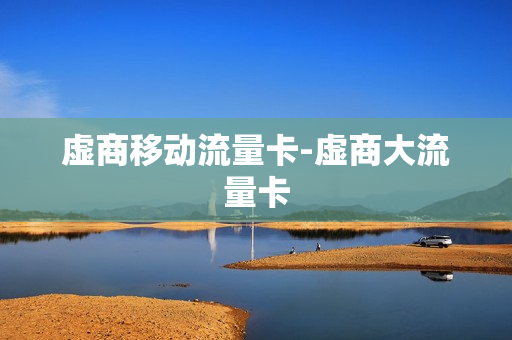 虚商移动流量卡-虚商大流量卡