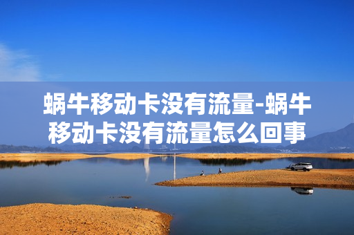蜗牛移动卡没有流量-蜗牛移动卡没有流量怎么回事