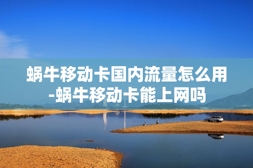 蜗牛移动卡国内流量怎么用-蜗牛移动卡能上网吗