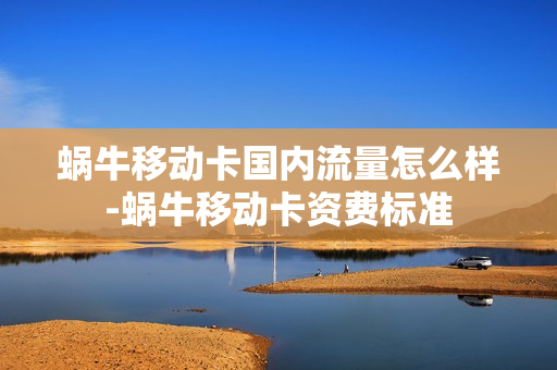 蜗牛移动卡国内流量怎么样-蜗牛移动卡资费标准