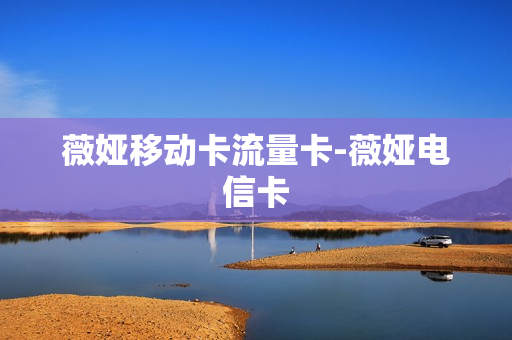 薇娅移动卡流量卡-薇娅电信卡