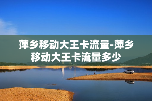 萍乡移动大王卡流量-萍乡移动大王卡流量多少