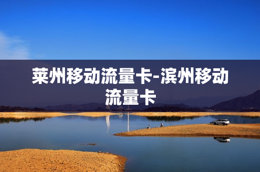 莱州移动流量卡-滨州移动流量卡