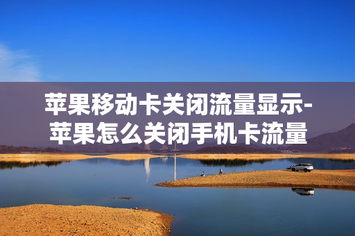苹果移动卡关闭流量显示-苹果怎么关闭手机卡流量