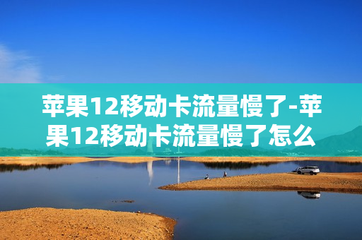 苹果12移动卡流量慢了-苹果12移动卡流量慢了怎么解决