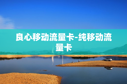 良心移动流量卡-纯移动流量卡