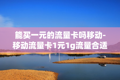 能买一元的流量卡吗移动-移动流量卡1元1g流量合适吗