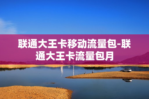 联通大王卡移动流量包-联通大王卡流量包月