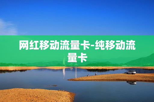网红移动流量卡-纯移动流量卡