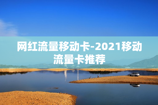 网红流量移动卡-2021移动流量卡推荐