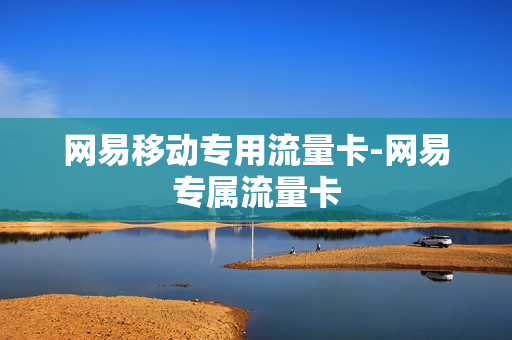 网易移动专用流量卡-网易专属流量卡