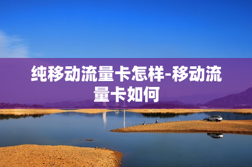 纯移动流量卡怎样-移动流量卡如何