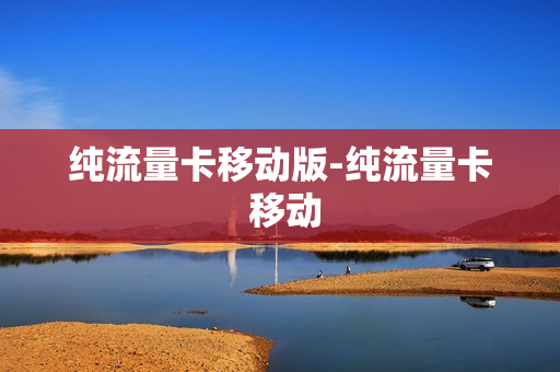 纯流量卡移动版-纯流量卡 移动