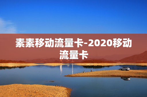 素素移动流量卡-2020移动流量卡