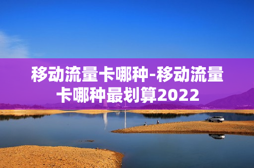 移动流量卡哪种-移动流量卡哪种最划算2022